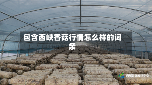 包含西峡香菇行情怎么样的词条-第2张图片