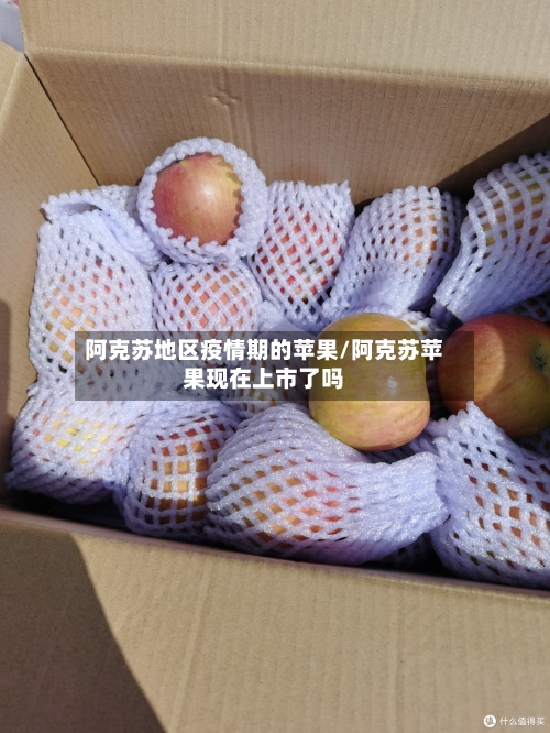 阿克苏地区疫情期的苹果/阿克苏苹果现在上市了吗-第2张图片