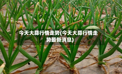 今天大蒜行情走势(今天大蒜行情走势最新消息)-第1张图片