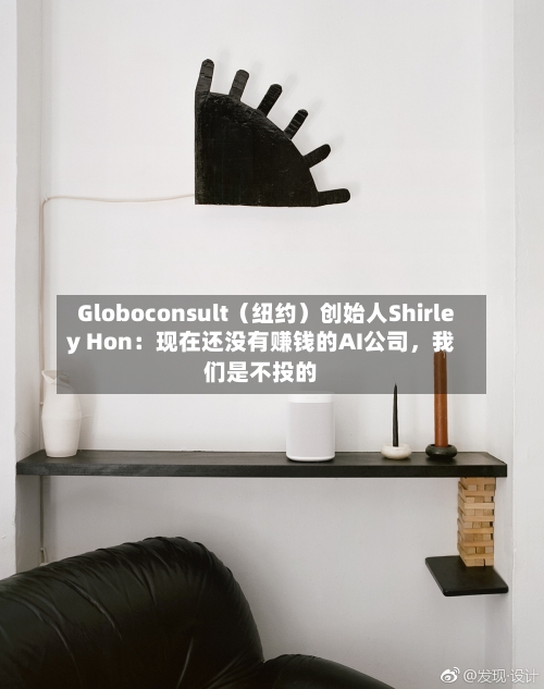 Globoconsult（纽约）创始人Shirley Hon：现在还没有赚钱的AI公司，我们是不投的-第1张图片