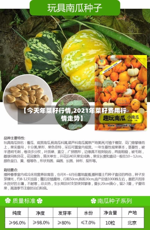 【今天年菜籽行情,2021年菜籽费用行情走势】-第2张图片