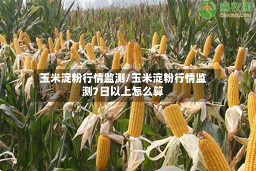 玉米淀粉行情监测/玉米淀粉行情监测7日以上怎么算-第1张图片