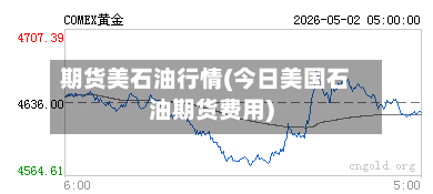期货美石油行情(今日美国石油期货费用)-第1张图片