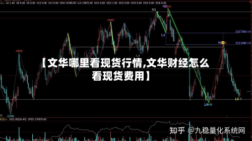 【文华哪里看现货行情,文华财经怎么看现货费用】-第1张图片