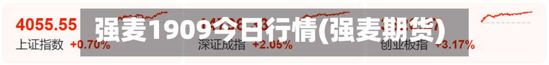 强麦1909今日行情(强麦期货)-第1张图片