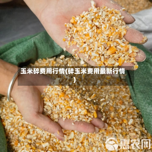 玉米碎费用行情(碎玉米费用最新行情)-第1张图片
