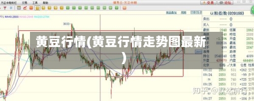 黄豆行情(黄豆行情走势图最新)-第2张图片