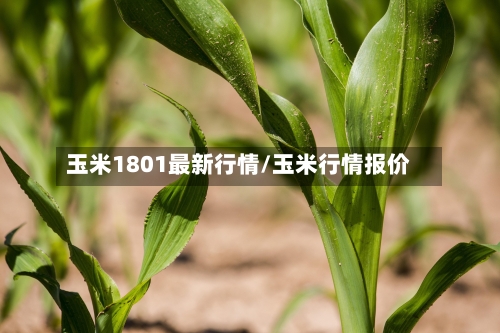 玉米1801最新行情/玉米行情报价-第2张图片