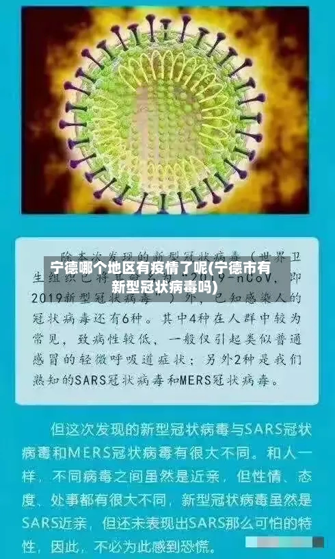 宁德哪个地区有疫情了呢(宁德市有新型冠状病毒吗)-第3张图片
