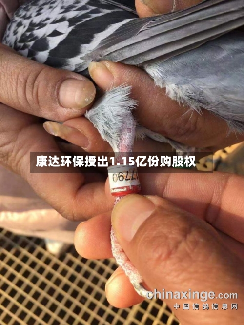 康达环保授出1.15亿份购股权-第1张图片