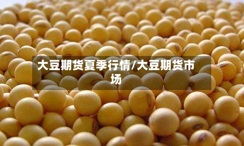 大豆期货夏季行情/大豆期货市场-第1张图片
