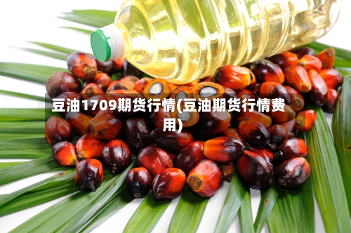 豆油1709期货行情(豆油期货行情费用)-第1张图片