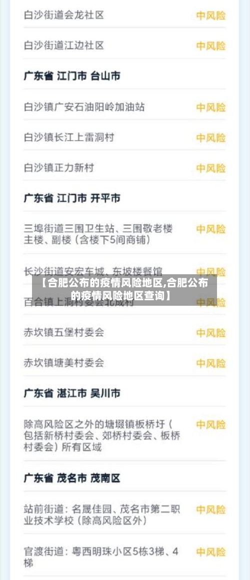 【合肥公布的疫情风险地区,合肥公布的疫情风险地区查询】-第1张图片