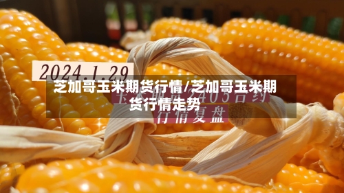 芝加哥玉米期货行情/芝加哥玉米期货行情走势-第2张图片