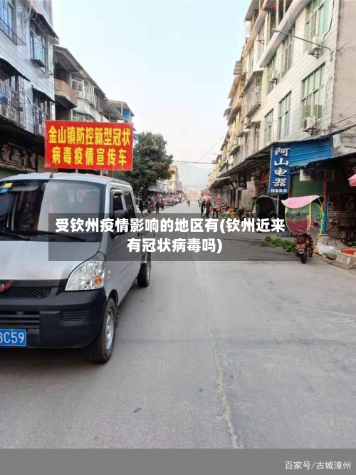 受钦州疫情影响的地区有(钦州近来有冠状病毒吗)-第2张图片