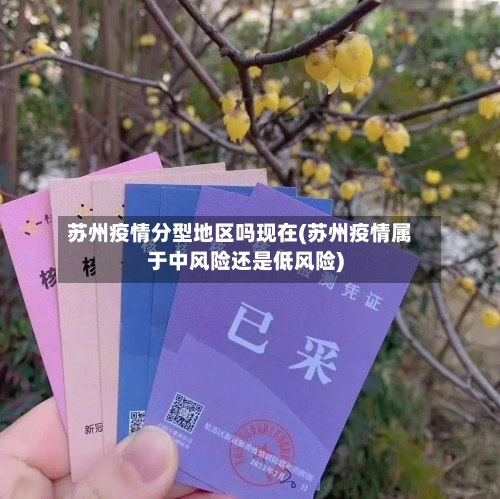 苏州疫情分型地区吗现在(苏州疫情属于中风险还是低风险)-第2张图片