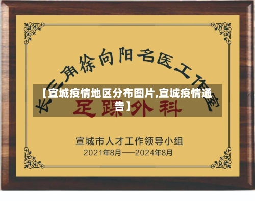 【宣城疫情地区分布图片,宣城疫情通告】-第3张图片
