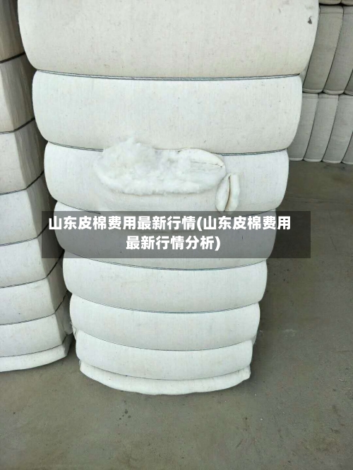 山东皮棉费用最新行情(山东皮棉费用最新行情分析)-第2张图片