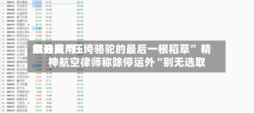燃油费用飙升成“压垮骆驼的最后一根稻草	” 精神航空律师称除停运外“别无选取”-第3张图片