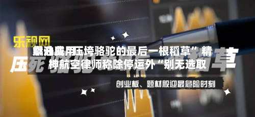 燃油费用飙升成“压垮骆驼的最后一根稻草” 精神航空律师称除停运外“别无选取”-第2张图片