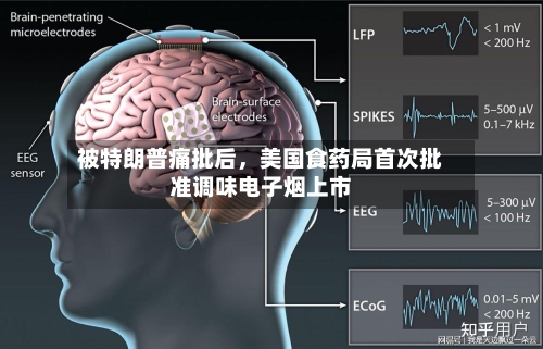 被特朗普痛批后，美国食药局首次批准调味电子烟上市-第2张图片