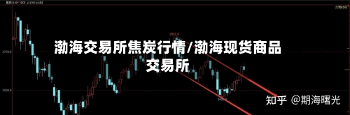 渤海交易所焦炭行情/渤海现货商品交易所-第1张图片