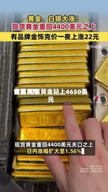 世界金银费用走高 现货黄金站上4650美元-第2张图片