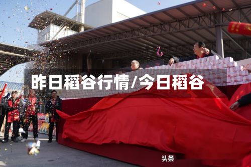 昨日稻谷行情/今日稻谷-第1张图片