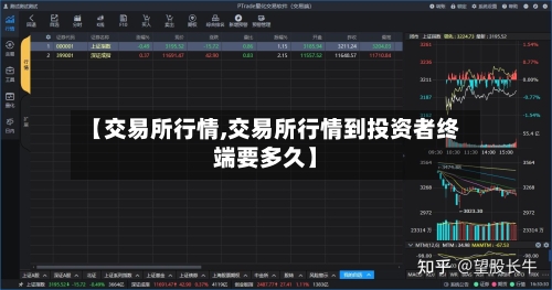 【交易所行情,交易所行情到投资者终端要多久】-第1张图片