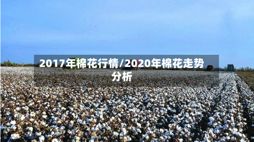2017年棉花行情/2020年棉花走势分析-第1张图片