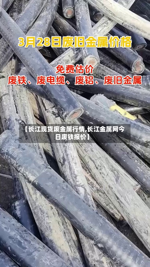 【长江现货废金属行情,长江金属网今日废铁报价】-第1张图片