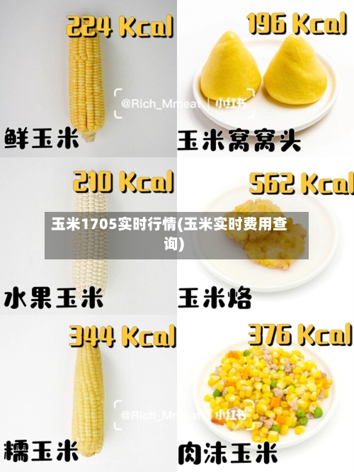 玉米1705实时行情(玉米实时费用查询)-第2张图片