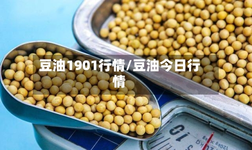豆油1901行情/豆油今日行情-第1张图片