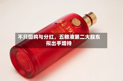 不只回购与分红，五粮液第二大股东拟出手增持-第2张图片