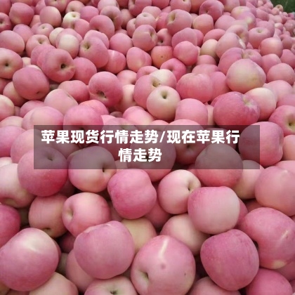 苹果现货行情走势/现在苹果行情走势-第1张图片