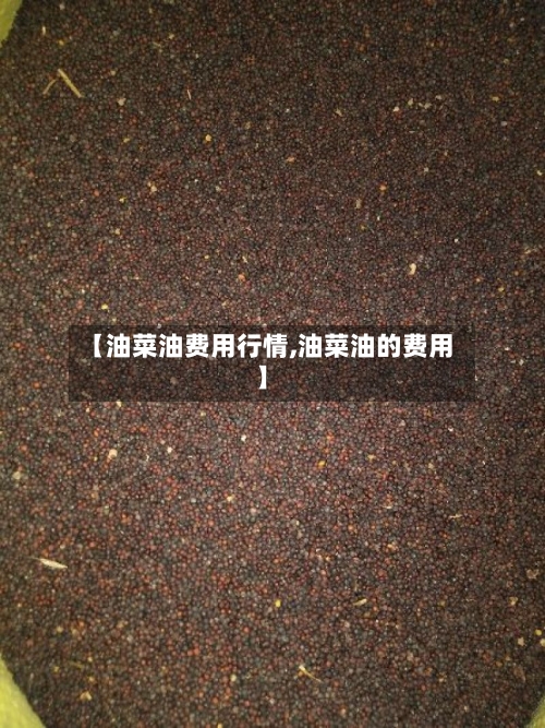 【油菜油费用行情,油菜油的费用】-第2张图片