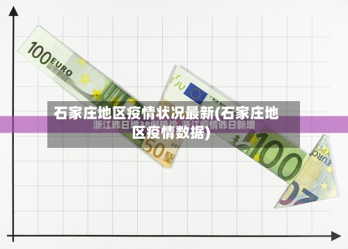 石家庄地区疫情状况最新(石家庄地区疫情数据)-第3张图片
