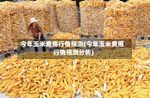 今年玉米费用行情预测(今年玉米费用行情预测分析)-第2张图片