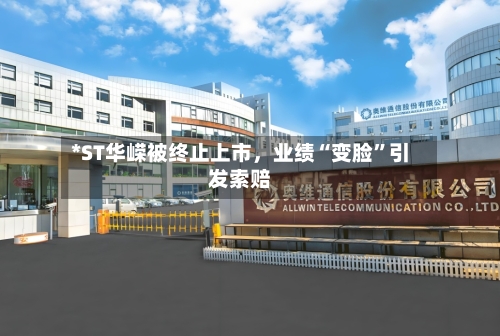 *ST华嵘被终止上市，业绩“变脸	”引发索赔-第2张图片