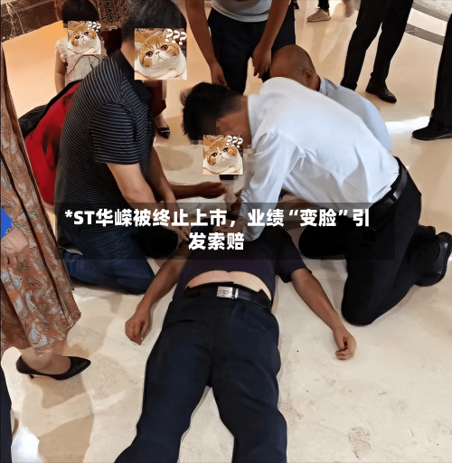 *ST华嵘被终止上市	，业绩“变脸”引发索赔-第3张图片