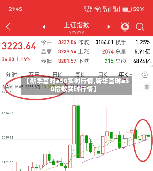【新华富时a50实时行情,新华富时a50指数实时行情】-第1张图片