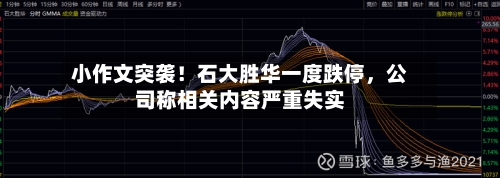 小作文突袭！石大胜华一度跌停	，公司称相关内容严重失实-第3张图片