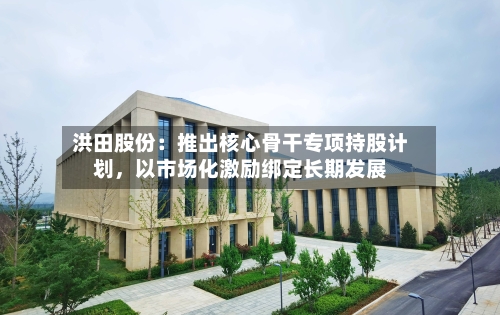 洪田股份：推出核心骨干专项持股计划，以市场化激励绑定长期发展-第1张图片