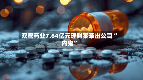 双鹭药业7.64亿元理财案牵出公司“内鬼”-第2张图片