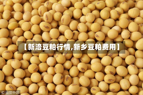 【新涪豆粕行情,新乡豆粕费用】-第1张图片