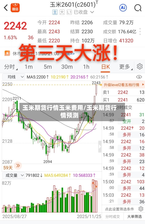 玉米期货行情玉米费用/玉米期货行情预测-第2张图片