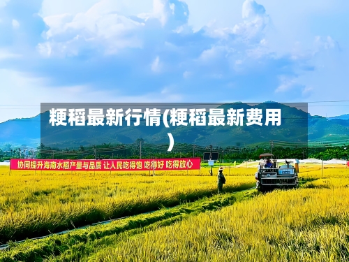 粳稻最新行情(粳稻最新费用)-第1张图片