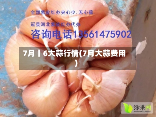 7月丨6大蒜行情(7月大蒜费用)-第2张图片