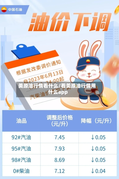 美原油行情看什么/看美原油行情用什么app-第1张图片