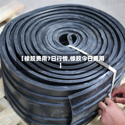 【橡胶费用7日行情,橡胶今日费用】-第3张图片